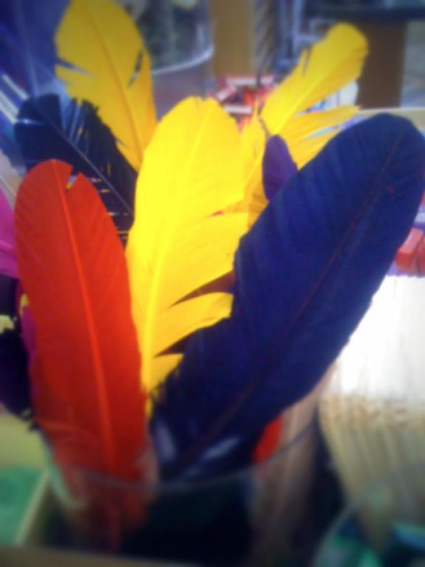 Feathers
