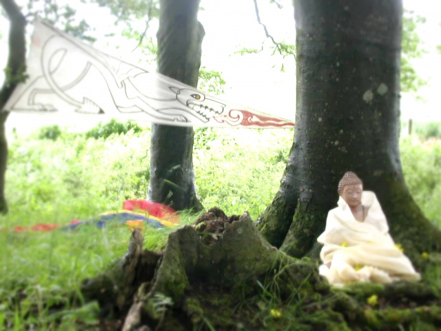 Buddhafield Yatra: Avebury