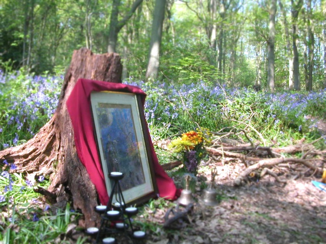 Redon In The Bluebell Wood