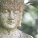 Garden Buddha