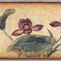 The Lotus Of The Dharma