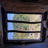 bodhipaksini's picture