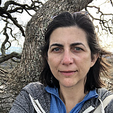 rodashruti's picture