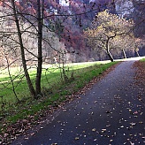 Michael Etzold's picture