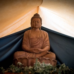 Buddha at Buddhafield