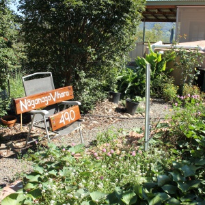 In the veggie garden