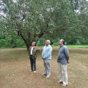 Looking at Guru Stupa