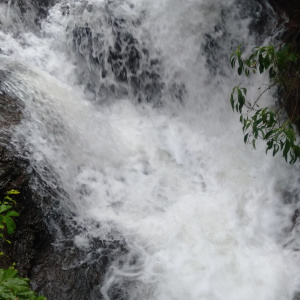 Water Stream just at entrance