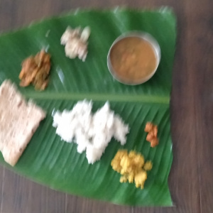 A Green Food Leaf of Suvajri