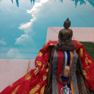 Poolside Puja at the Mainland Europe Young Buddhist Convention in Suryavana Retreat Centre, Valencia in July 2018