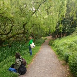 Reflective time amongst the trees during the Nature Walk and Write event