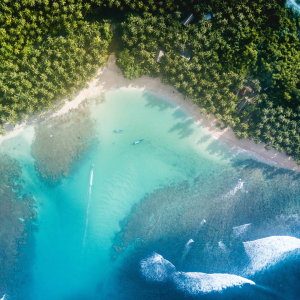 Photo by James Donaldson on Unsplash