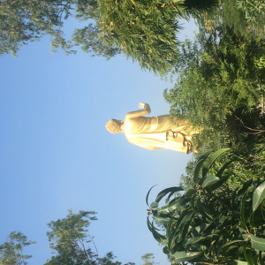 A view of the back of Nagaloka’s walking Buddha viewed from our land