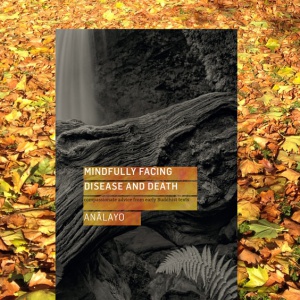 Mindfully Facing Disease and Death