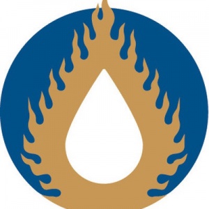 FutureDharma logo