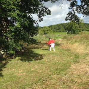 Guitar practice under the oak tree