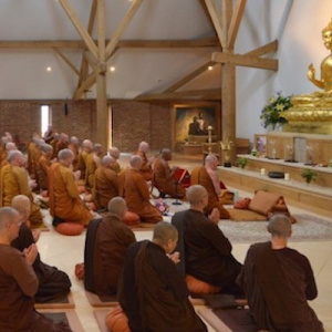 Monks and nuns in the Amaravati shrine hall