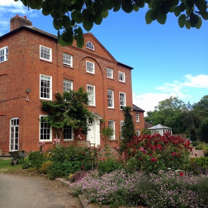 Adhisthana in summer