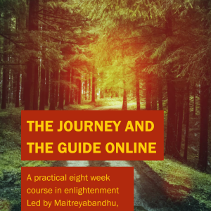 The Journey and The Guide Online