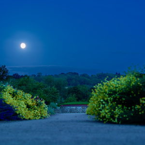 Burial Mound at Moonlight