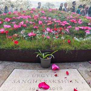 Sangharakshita's Burial Mound