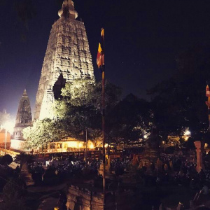 Puja under the Bodhi tree