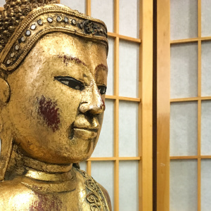 Photo by Sarah Flause