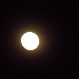 Guhyaloka, une nuit de pleine lune