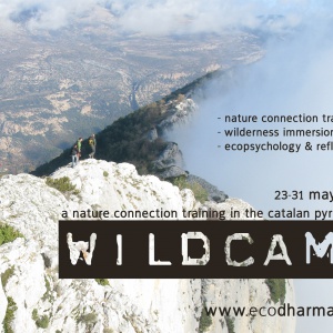 Wildcamp poster