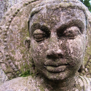 Rupa, Broadhembury 2011