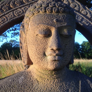 Buddha under ek