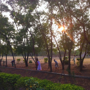 Sweeping the leaves 1