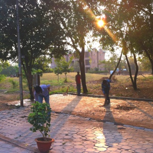 Sweeping the leaves 2